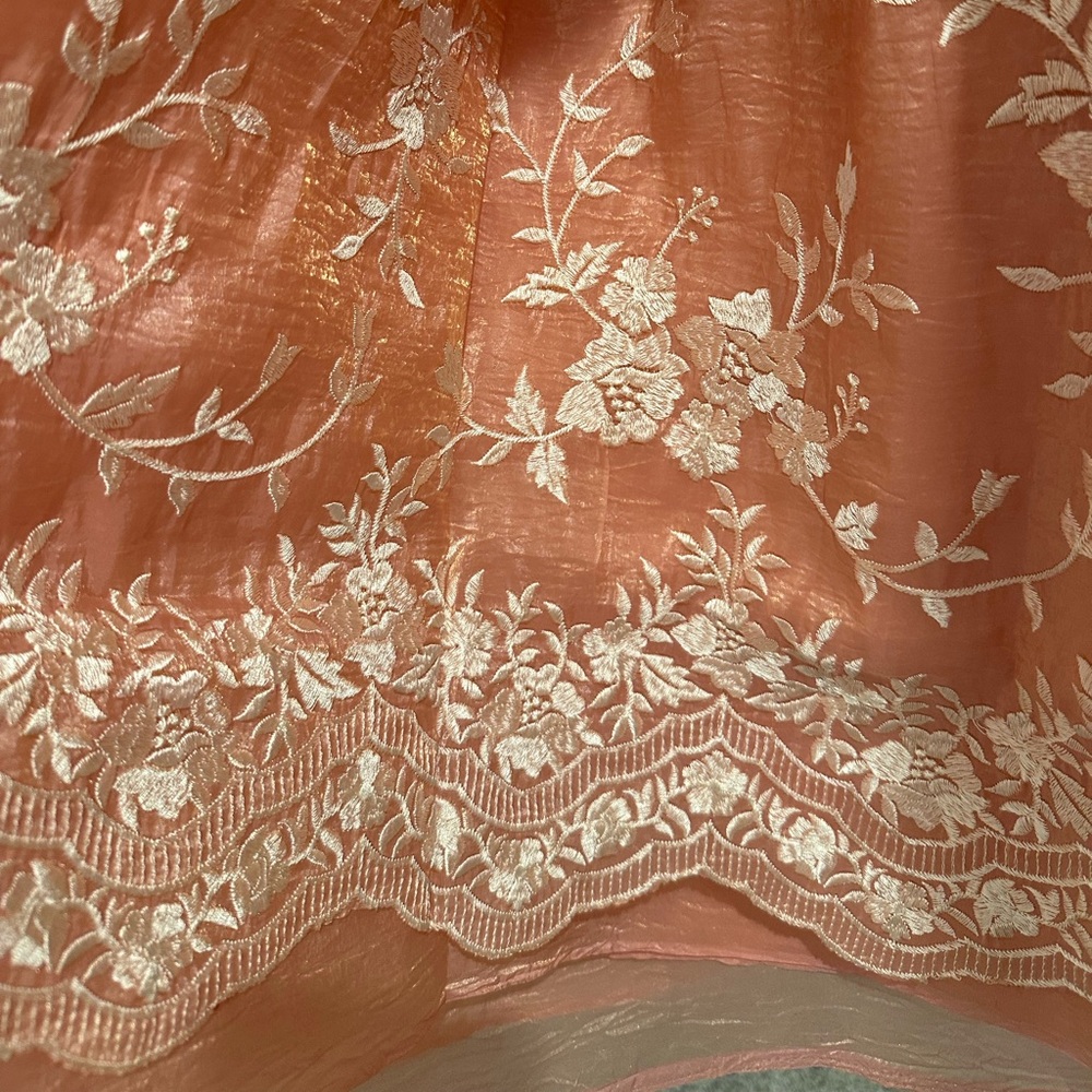 Peach gold pure silk saree with hand embroidered work in cotton threads